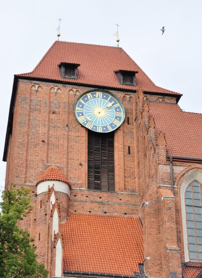 przewodnik po toruniu