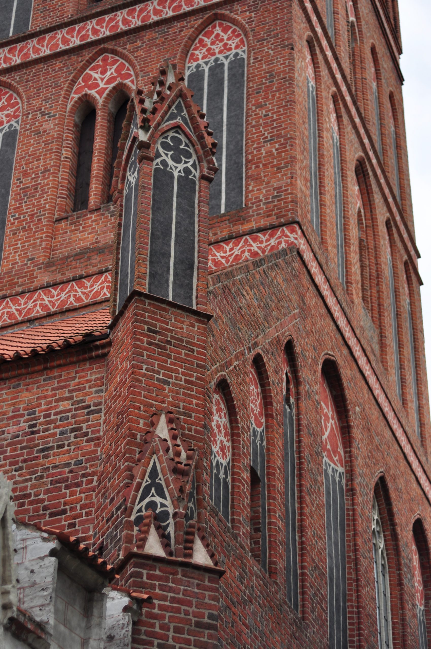 przewodnik toruń