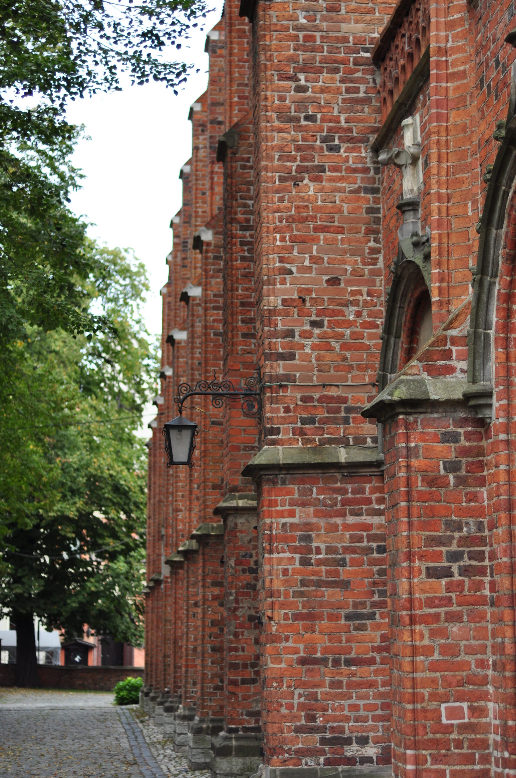 Mikołaj Kopernik – Toruń oczami przewodnik